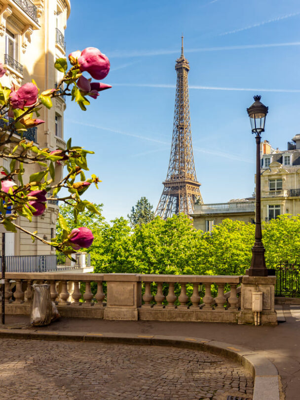 Amsterdam paris tour