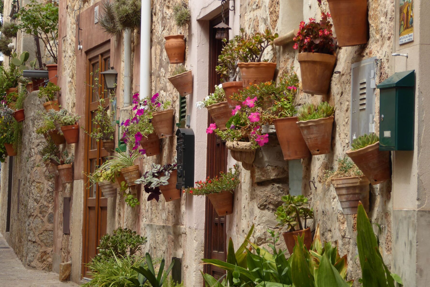 Flower pots Tuscany