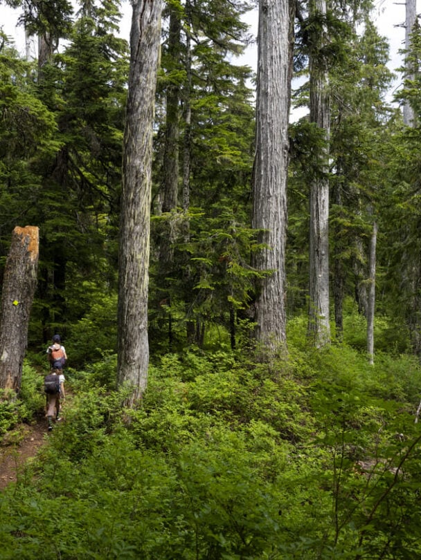 Sunshine Coast trail guided tour
