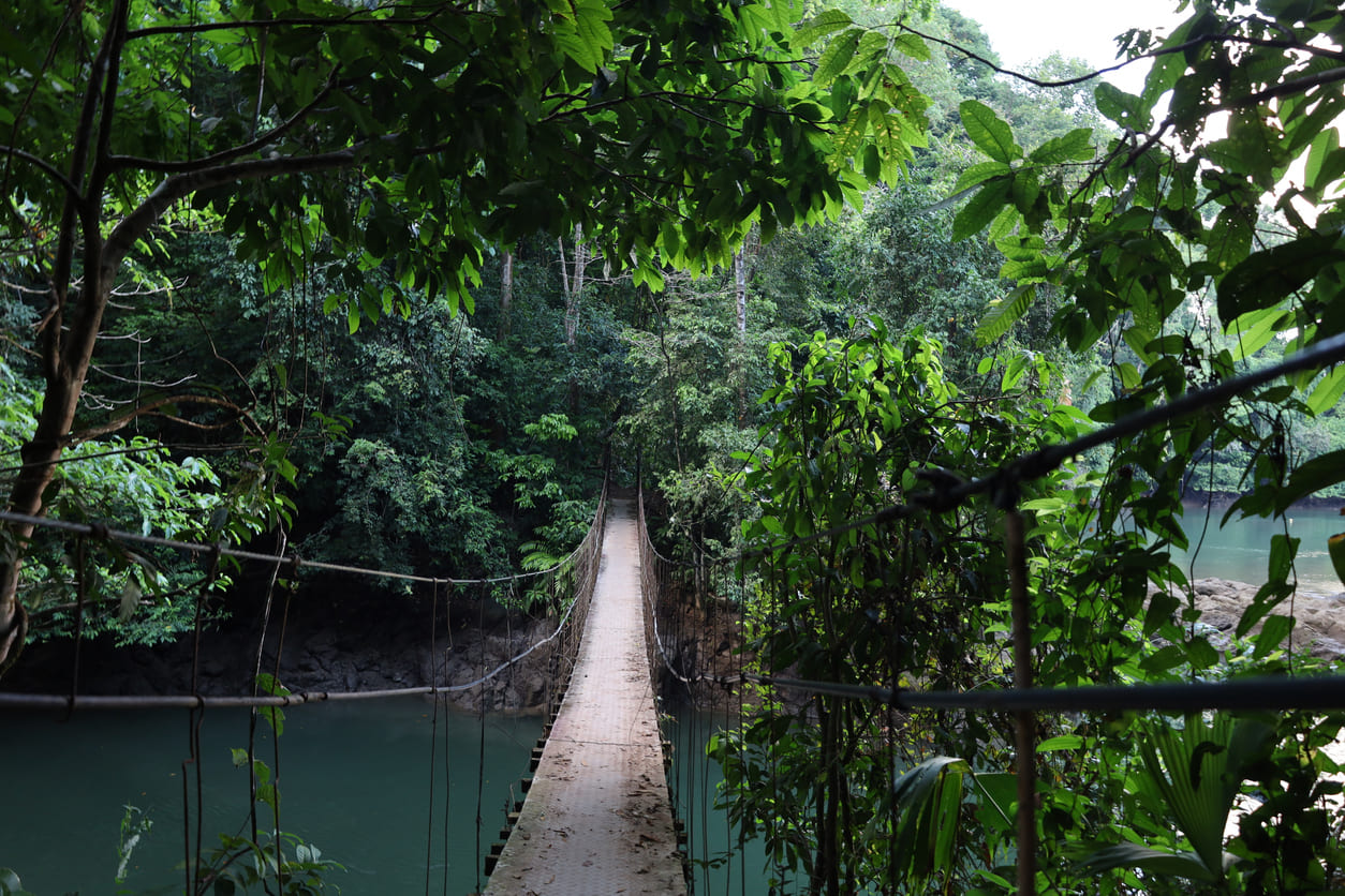 Hanging bridge Corcovado