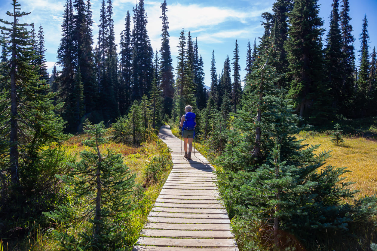 Hiker Garibaldi park BC