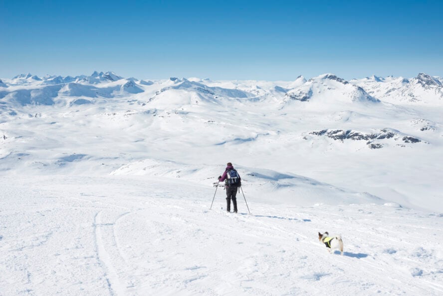 Skier in Jotunheimen, Norway ski touring with a dog