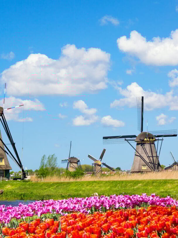 Amsterdam paris tour