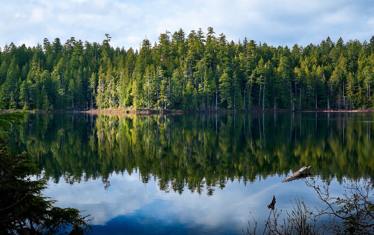Lake Sunshine Coast