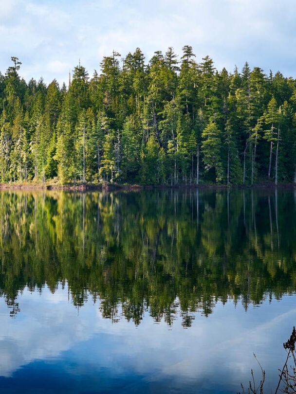Sunshine Coast trail guided tour