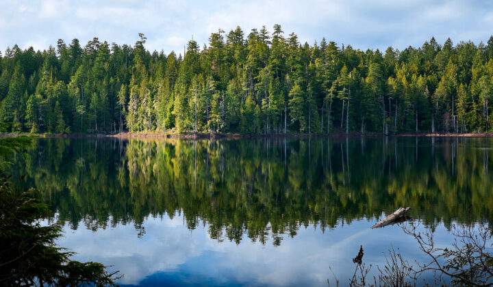 Lake Sunshine Coast
