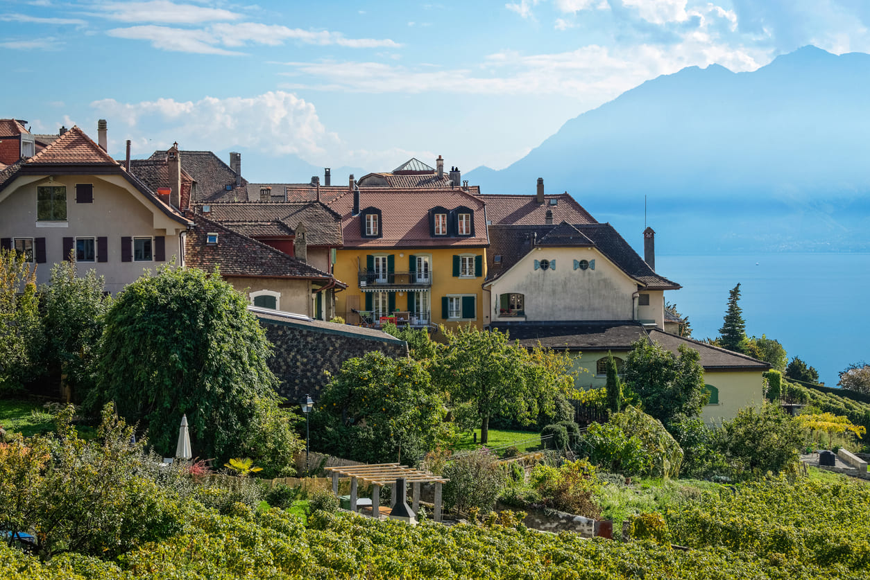 Lavaux views vineyards