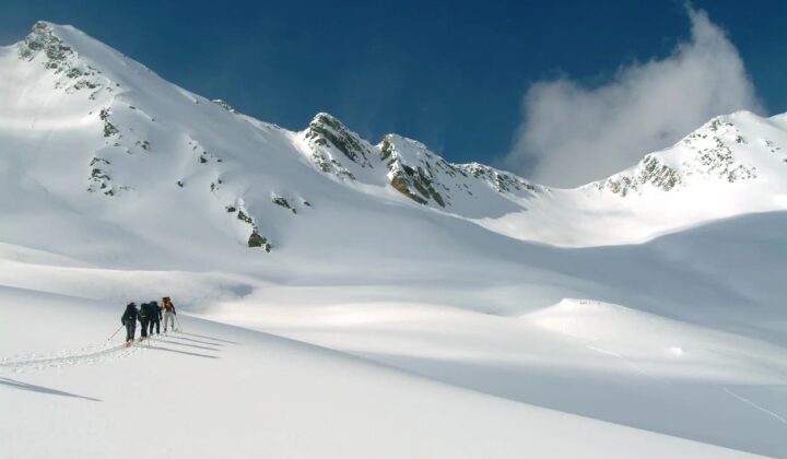 Rogers pass BC skiers