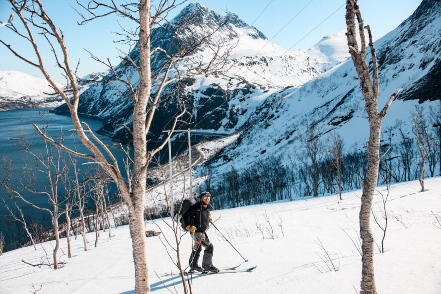 Skier touring in the treeline in Norway