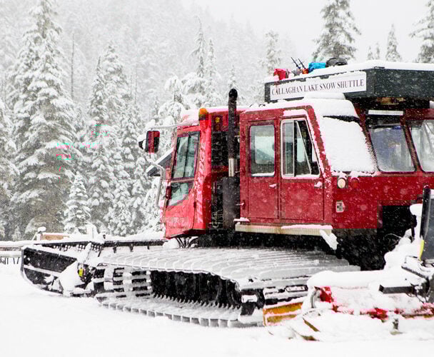 Whistler cat skiing