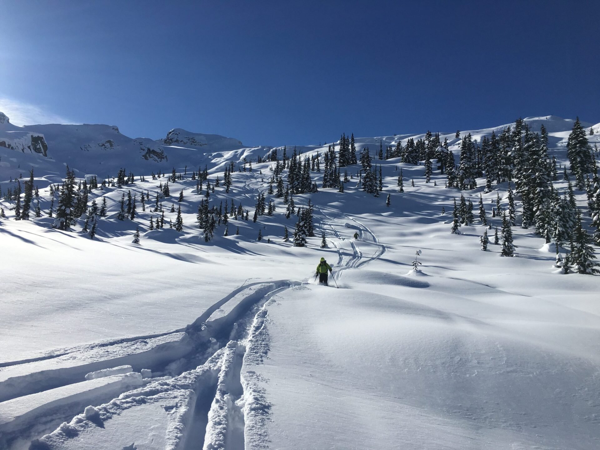 Whistler cat skiing