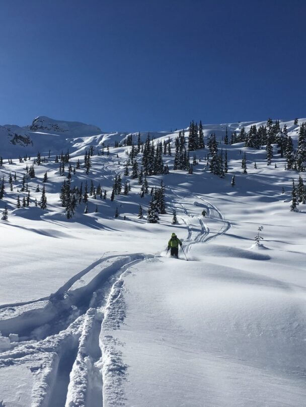 Whistler cat skiing