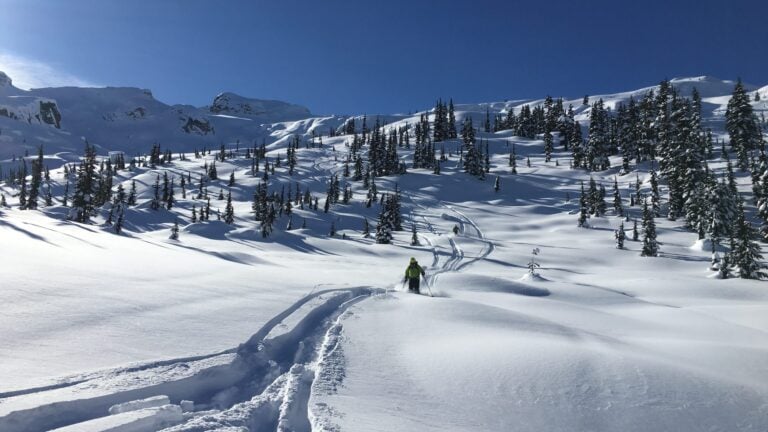Whistler cat skiing