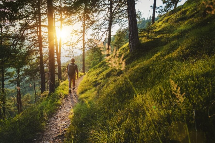 A senior man in the forest along the Alta Via 2 in the Italian Dolomites