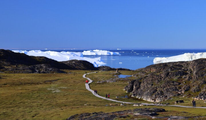 Boardwalk West Greenland