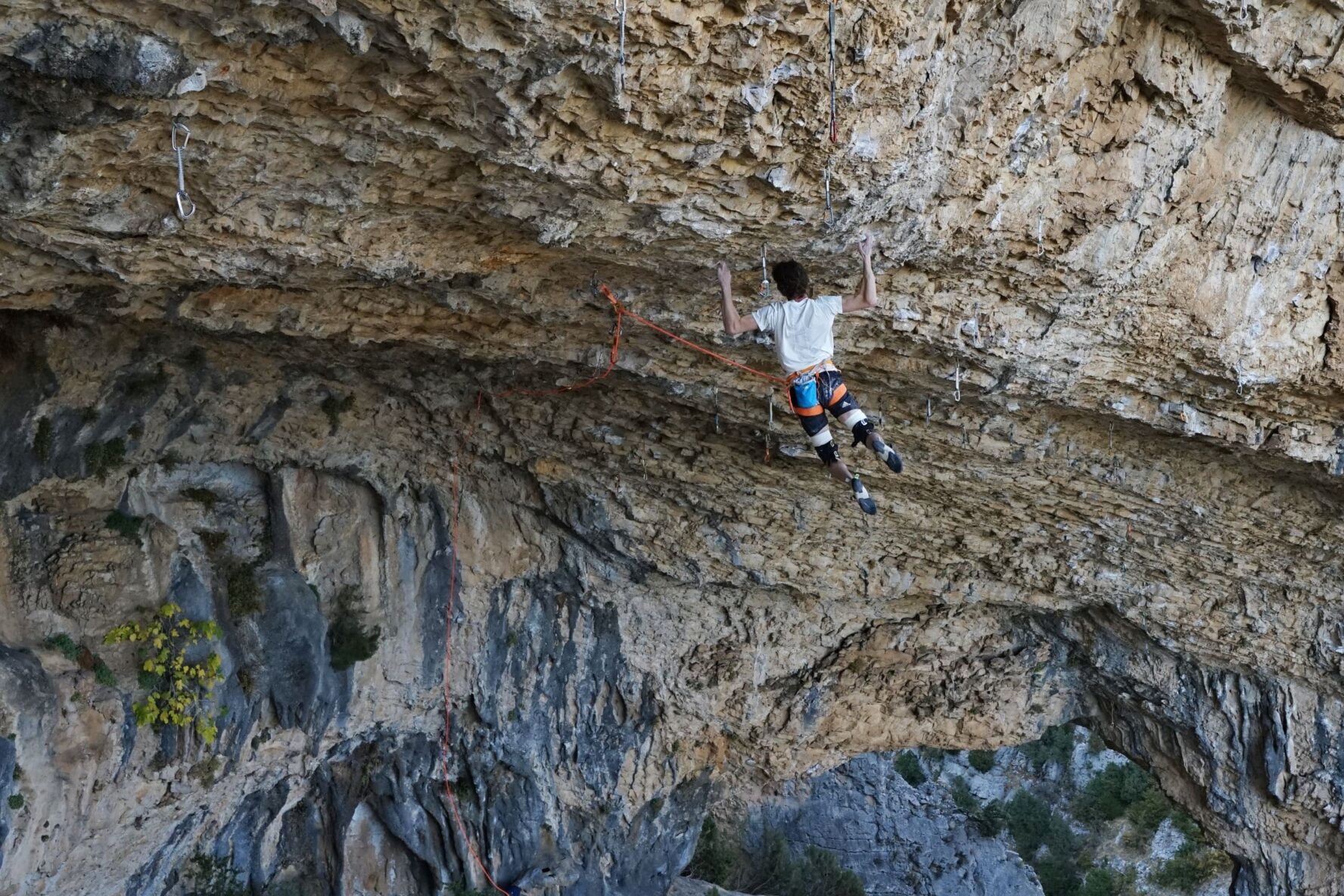 Climbing hanging Rodellar