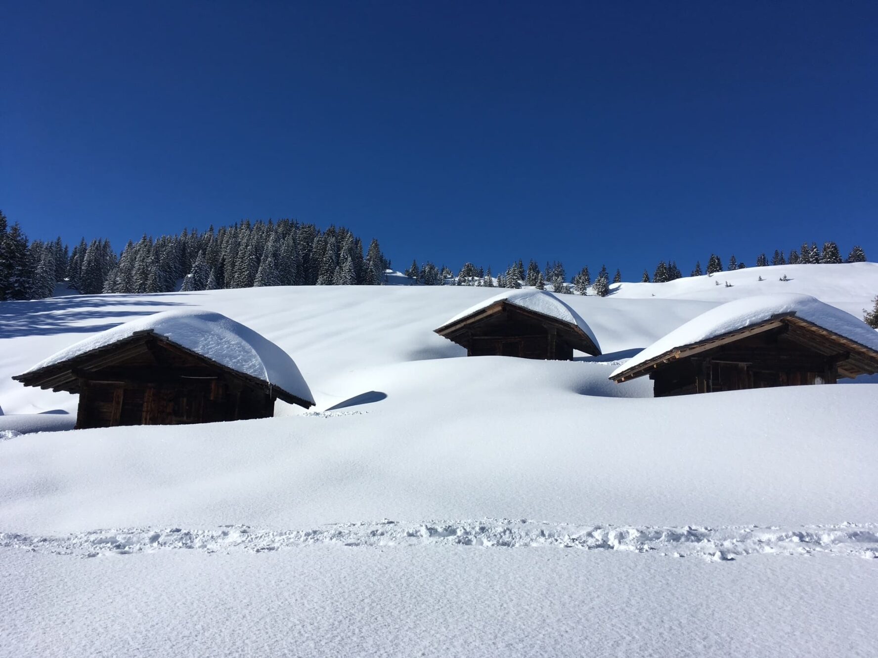 Covered in snow in the Alps