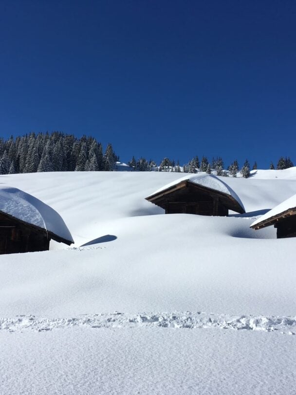 Snowshoeing in Bernese Oberland