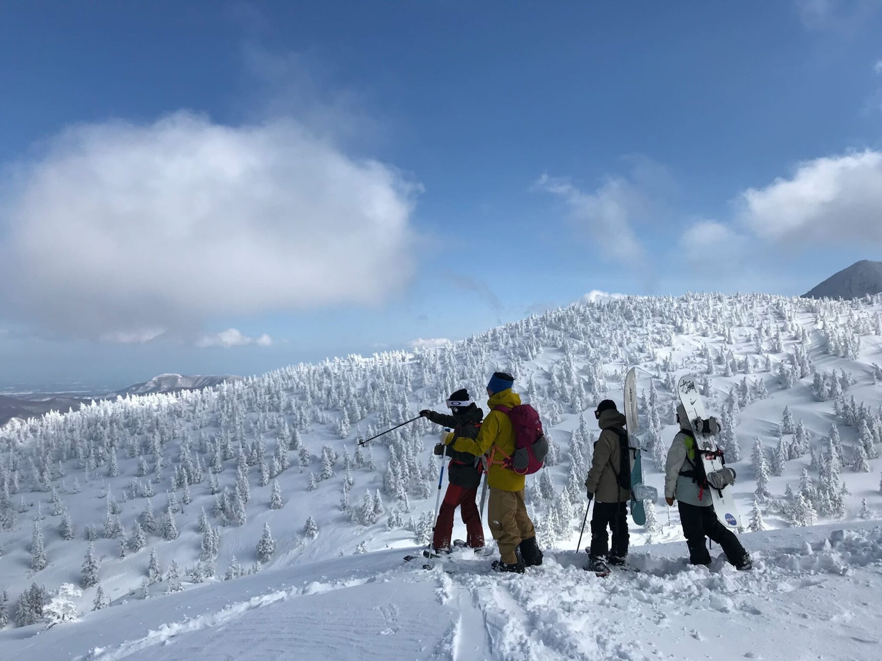 Group skiers Myoko