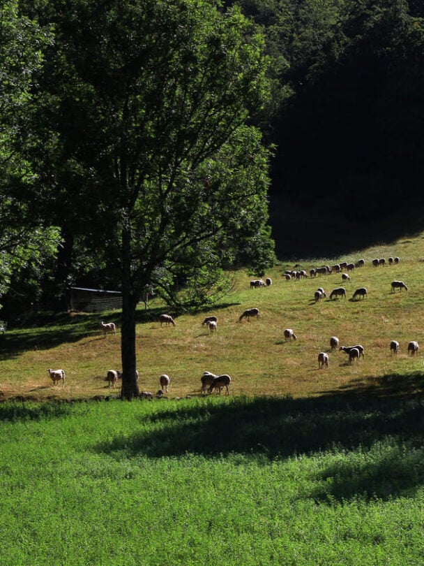 Vercors cycling tour