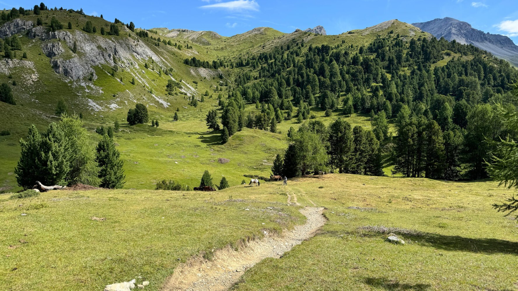 Lush valley Alps bike tour