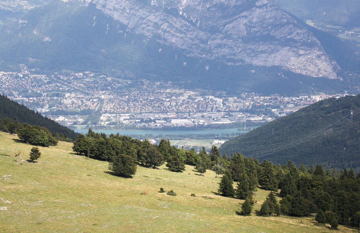 Moliere plateau view