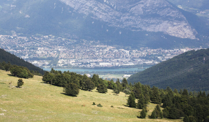 Moliere plateau view