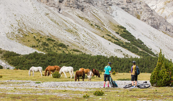 National park Switzerland Italy
