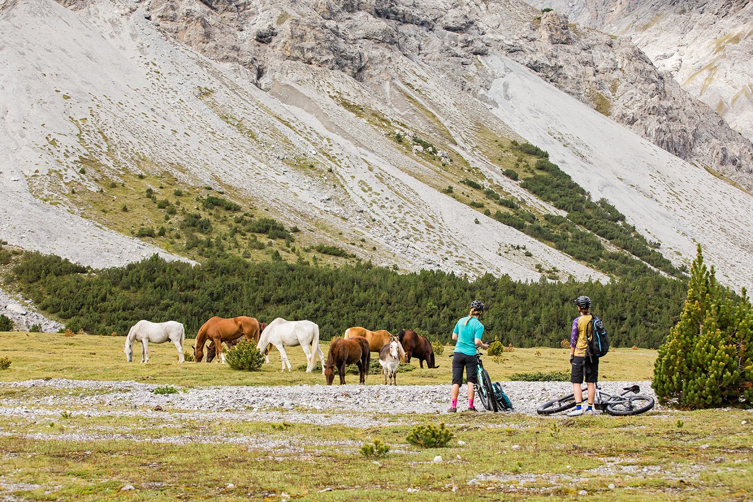 National park Switzerland Italy