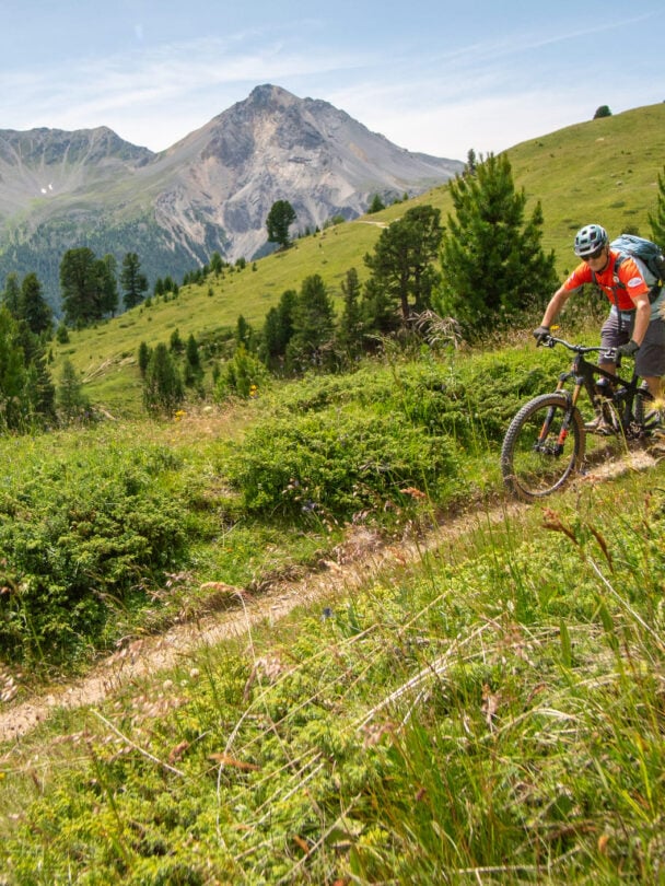 ALps bike tour guided