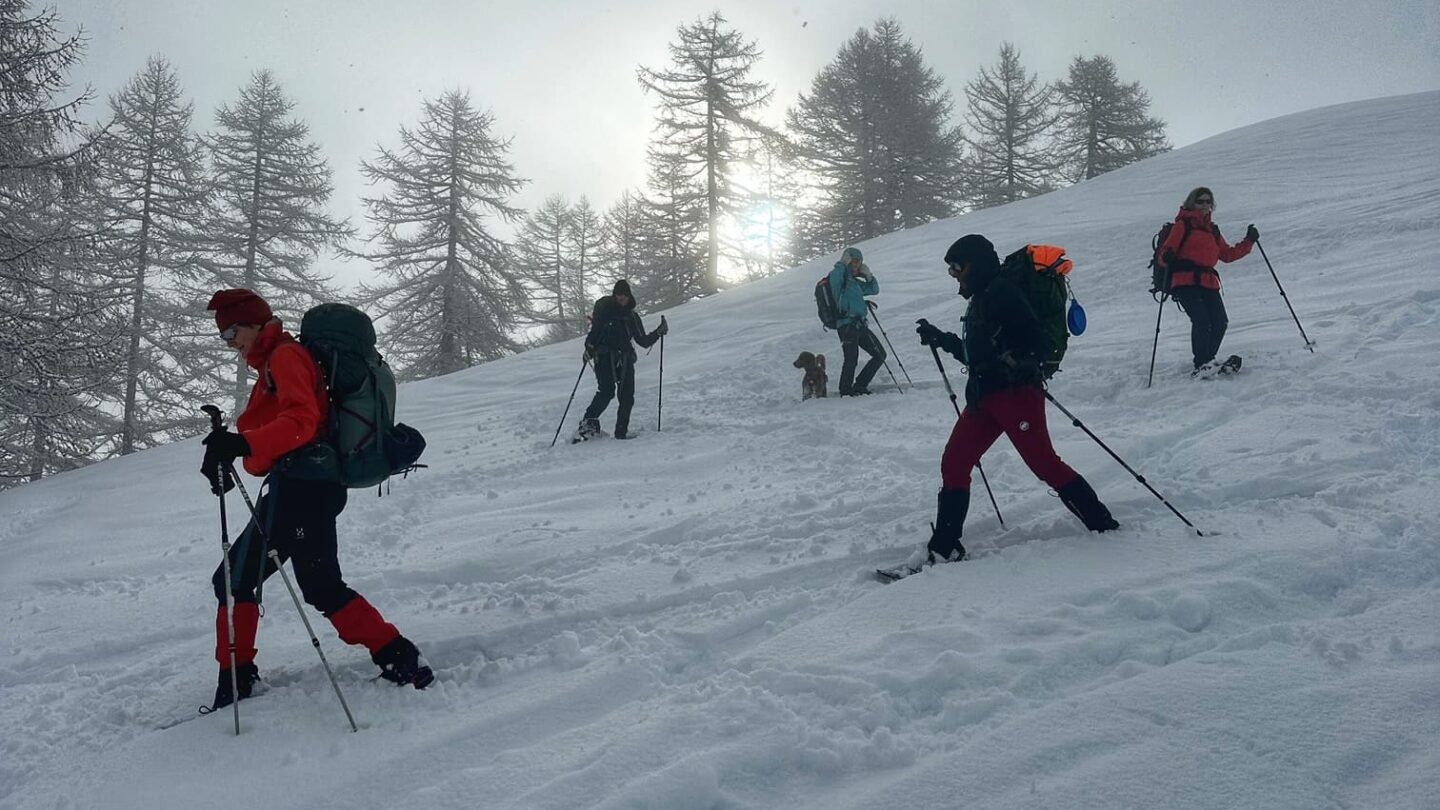 Several people snowshoeing in Bernese Oberland