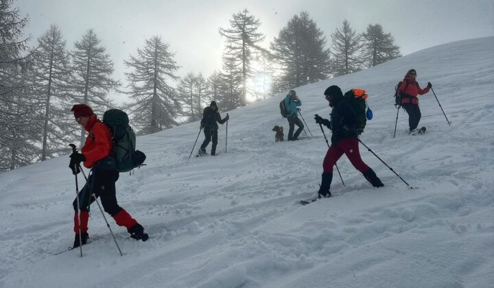 Several people snowshoeing in Bernese Oberland