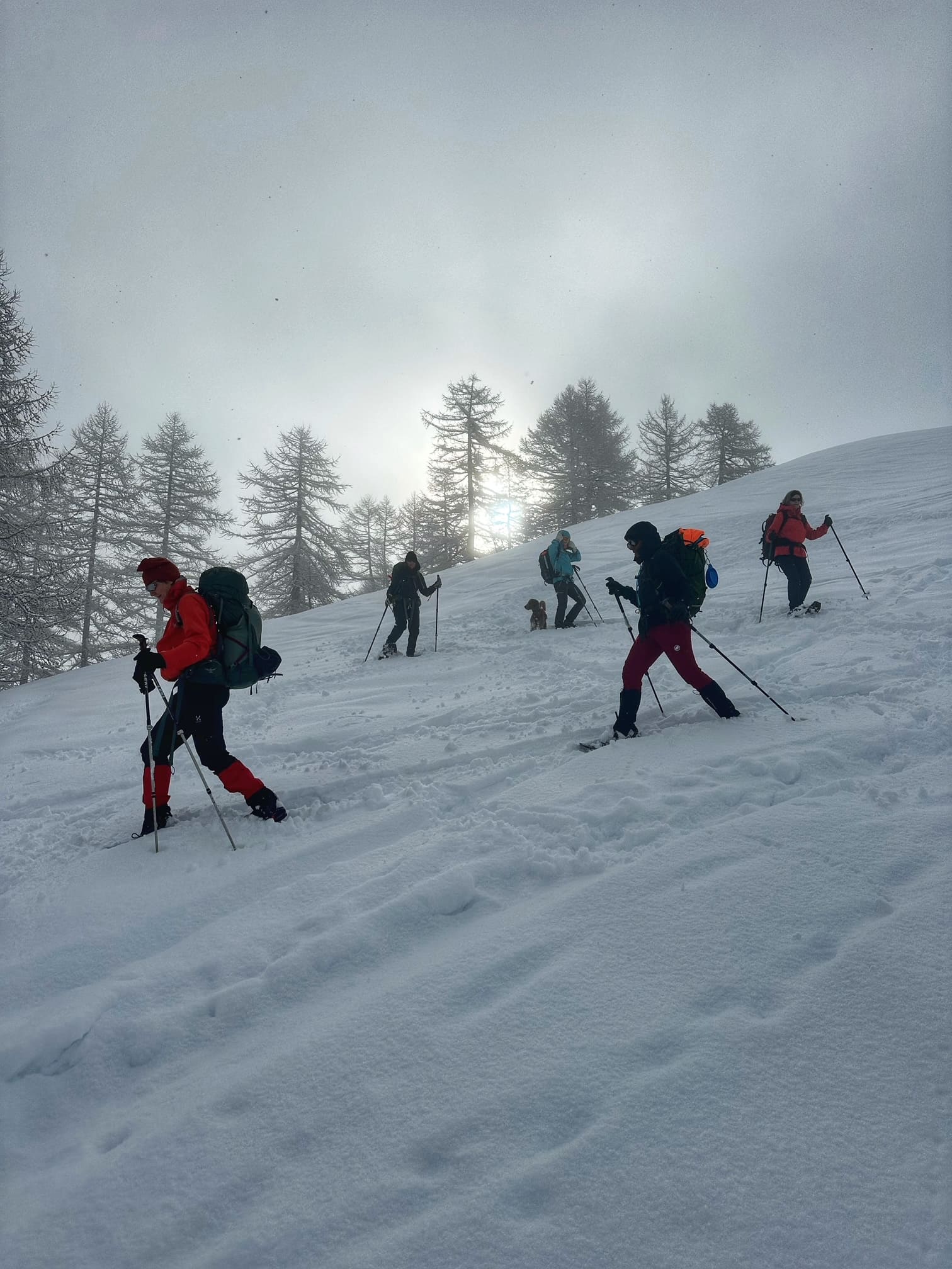 Several people snowshoeing in Bernese Oberland