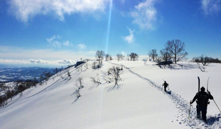 Skiers powder Japan