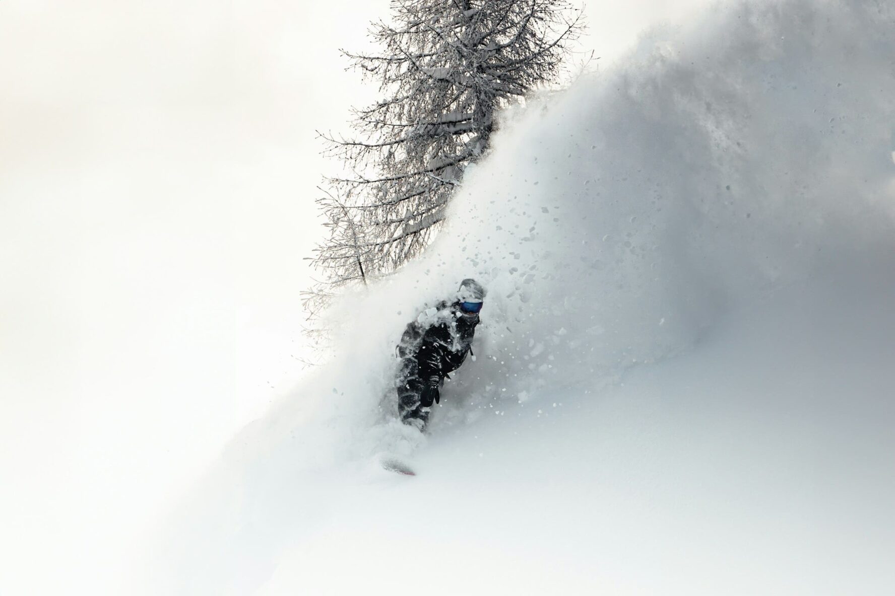 Snowboarding deep pow