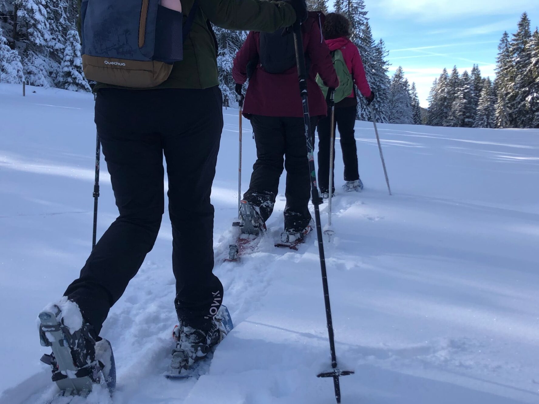 Snowshoeing in the Alos in Switzerland