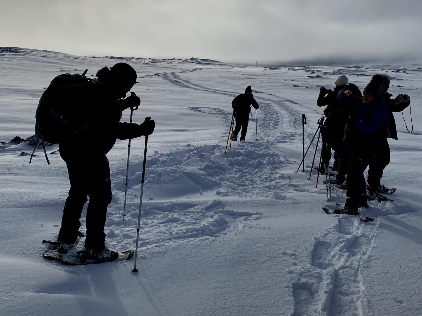 Snowshoeing group winter Iceland