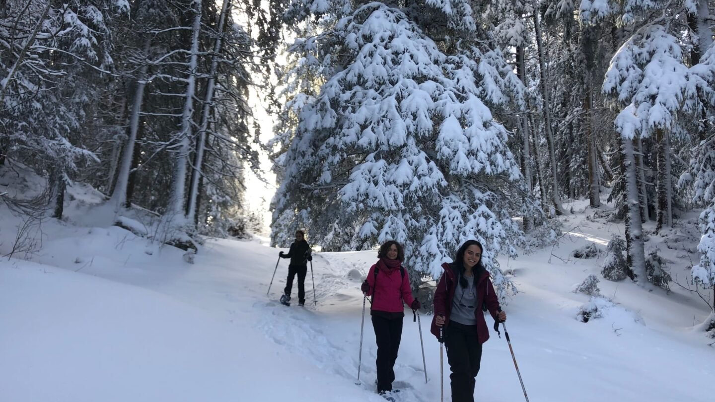 Three people snowshoeing in Bernese Oberland