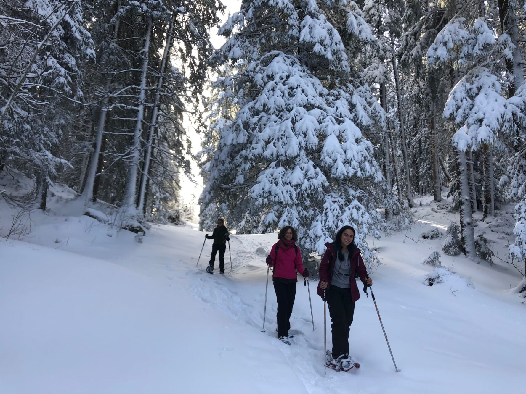 Three people snowshoeing in Bernese Oberland