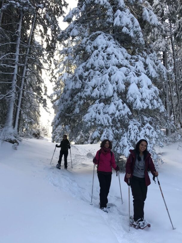 Snowshoeing in Bernese Oberland