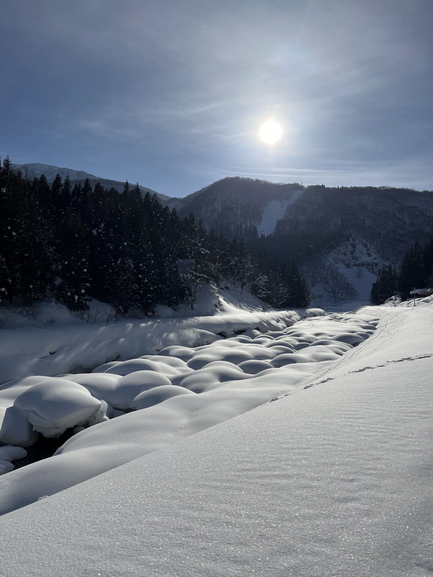 Untouched powder Japan