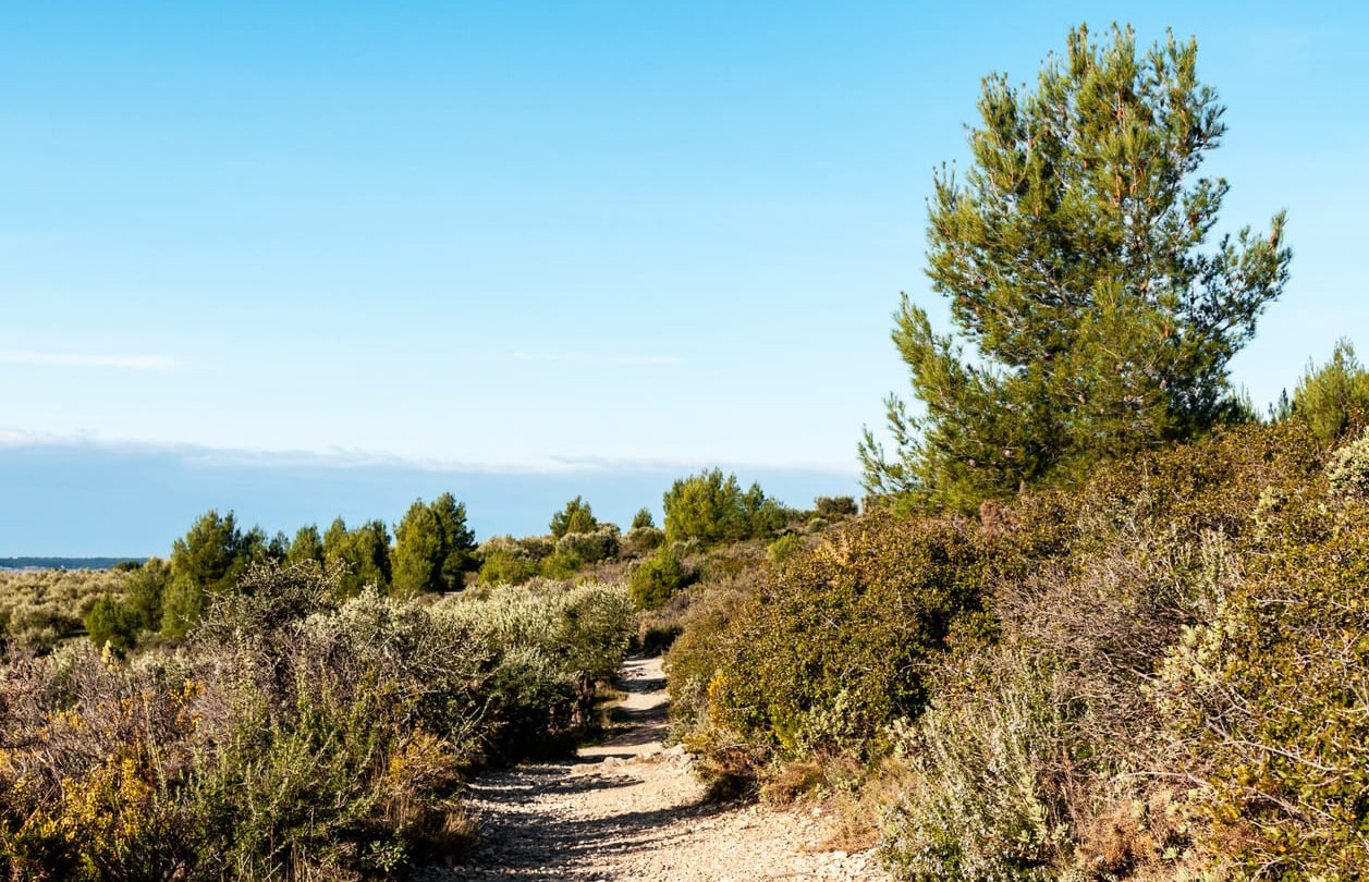 Alpilles hiking provence