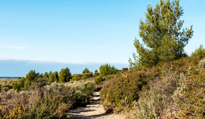 Alpilles hiking provence