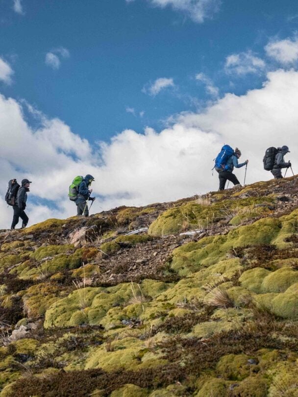 Patagonia backpacking tour