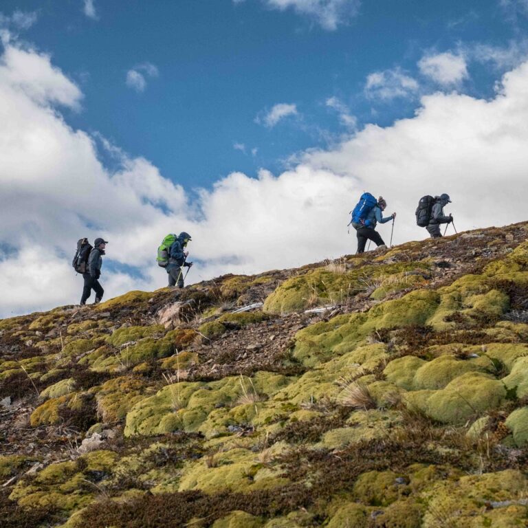 Blue skies nature Patagonia