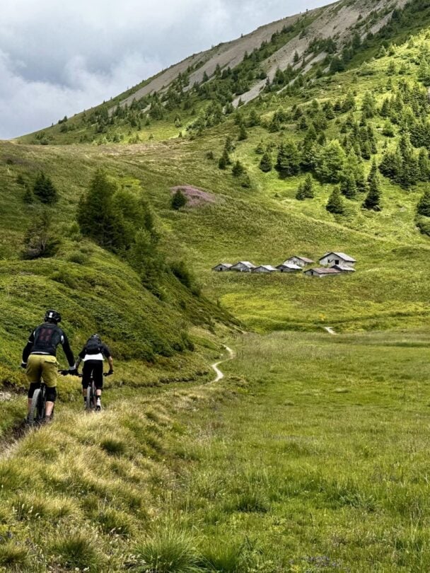 Wildflowers Mont Blanc MTBers