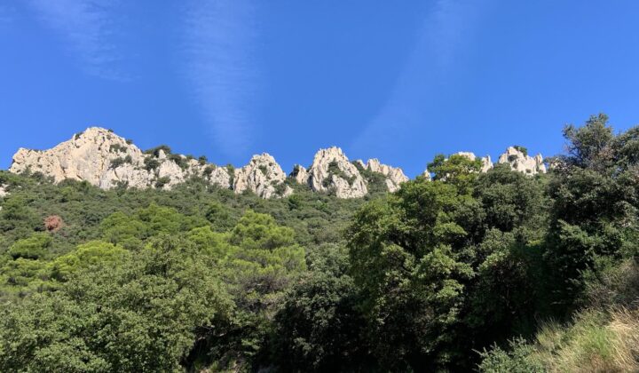 Dentelles de Montmirail