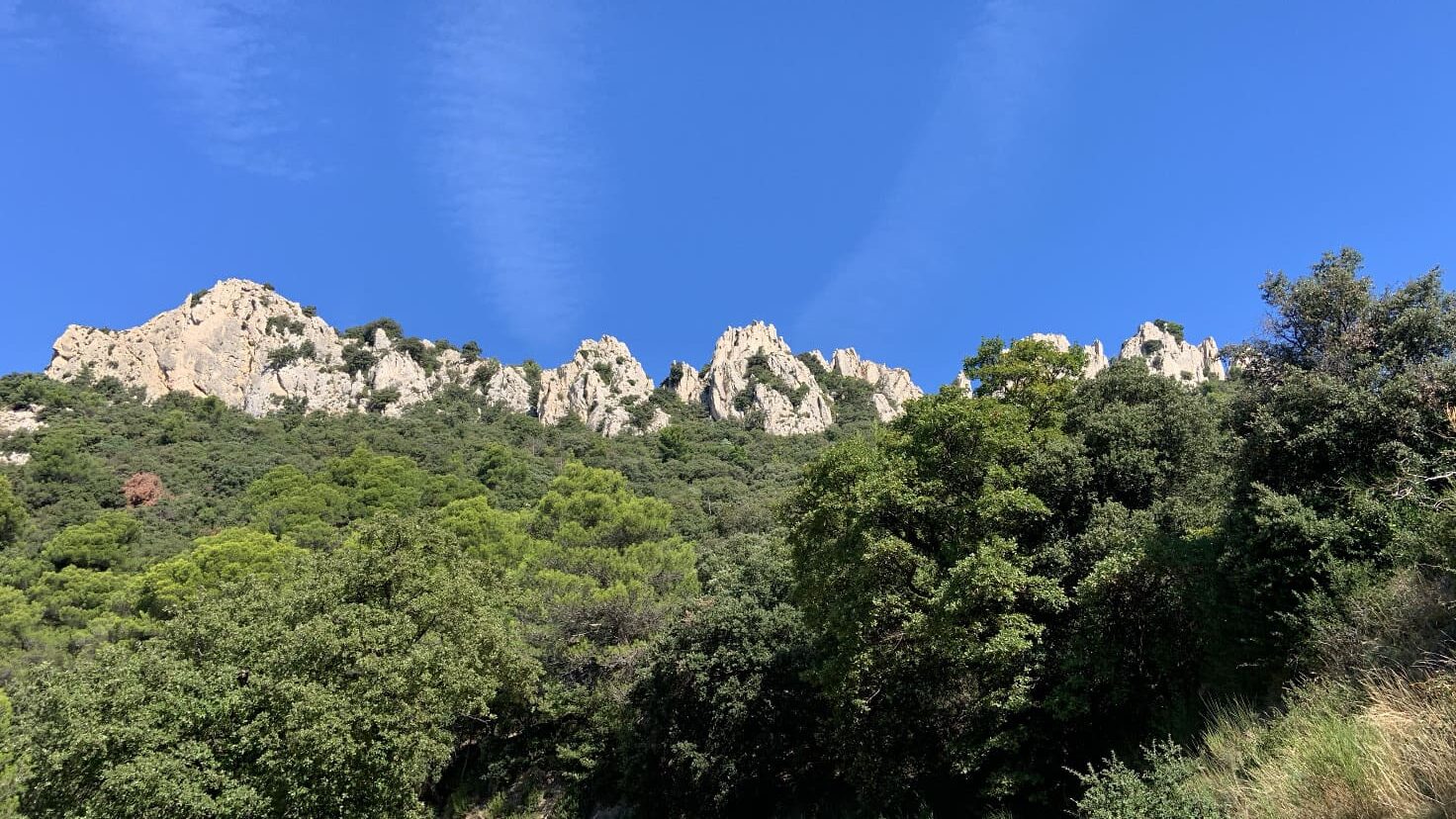 Dentelles de Montmirail
