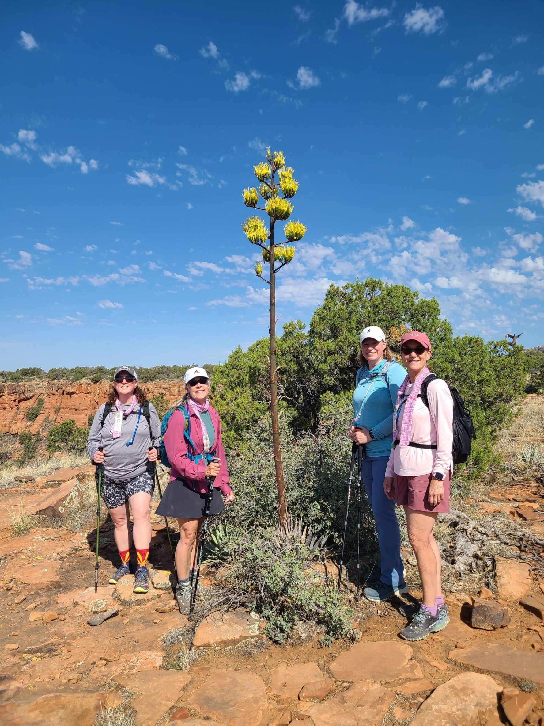 Four hikers Sedona