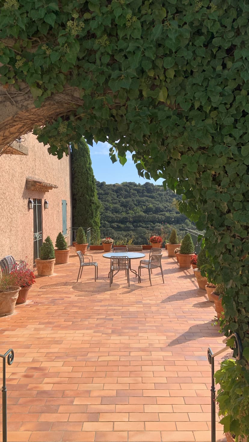 Gigondas vineyard terrace